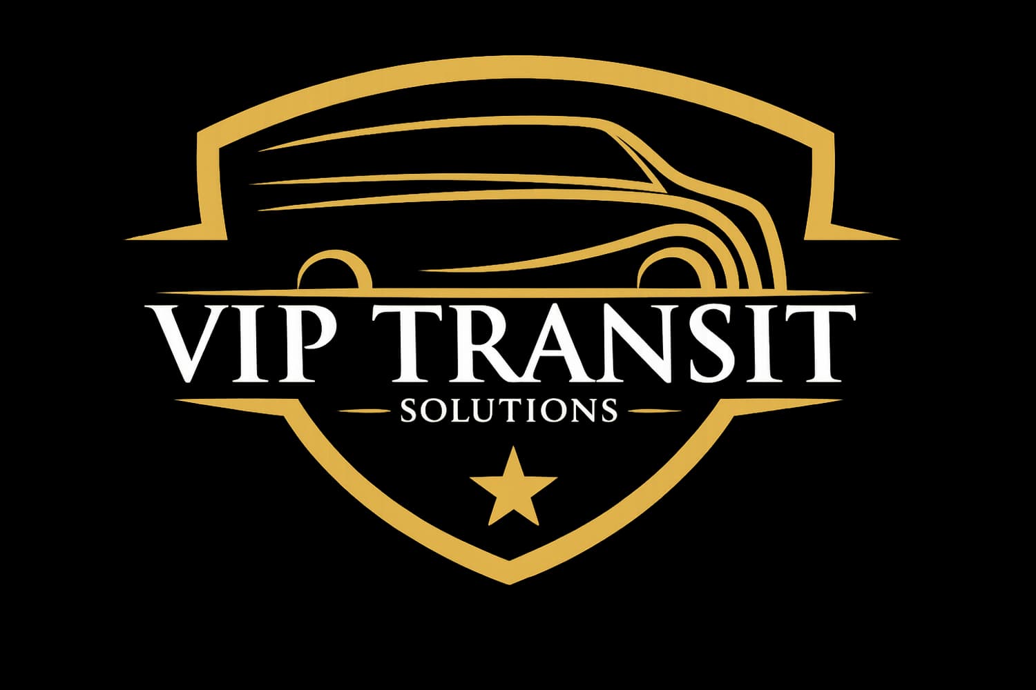 VIP Transit Solutions